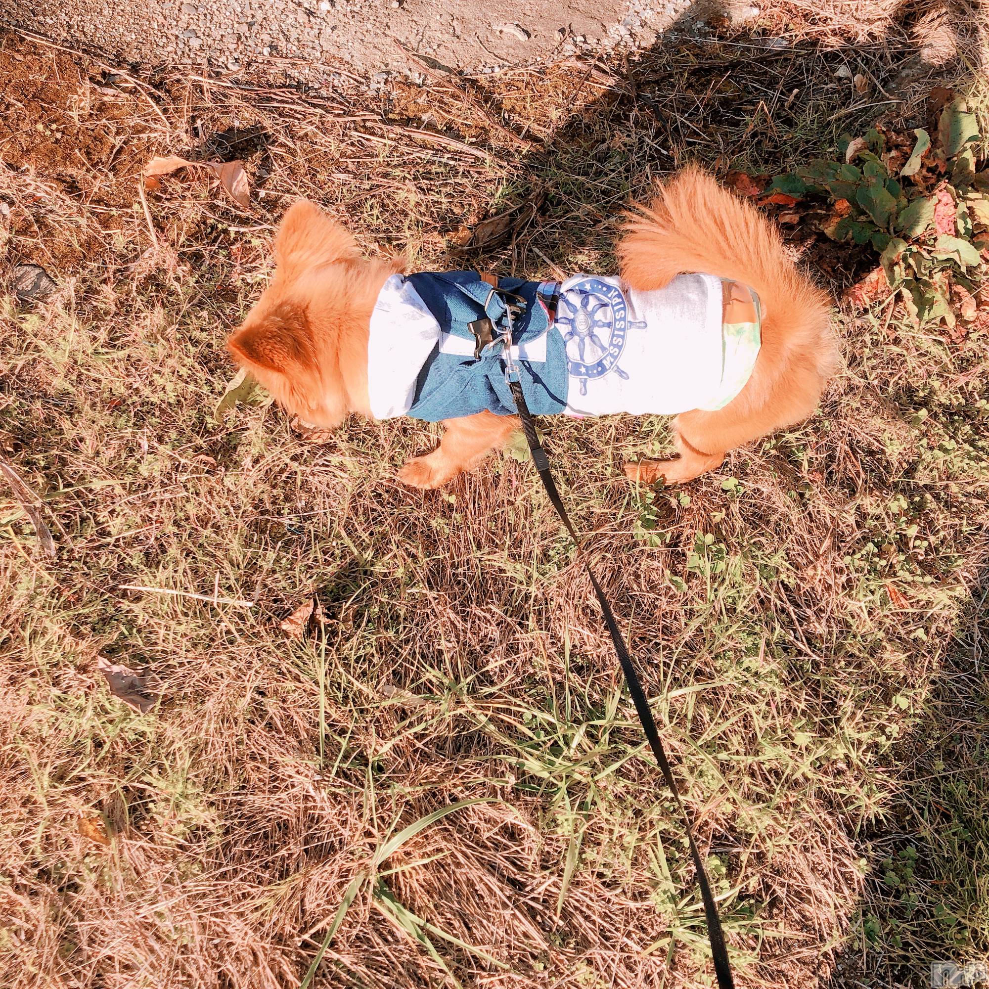 ���ץ���Х��顦�����CLUB BOSS(����� �ܥ�) ��2026ǯ3��25���̥�֥�����🍯��