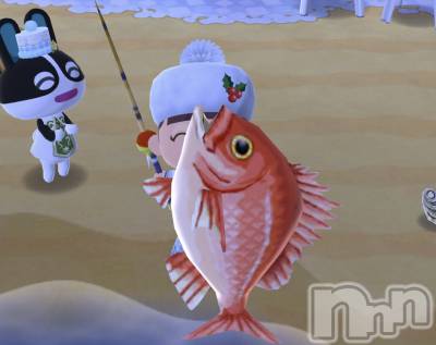 ���ץ���Х��顦�����CLUB BOSS(����� �ܥ�) �뤤(18)��12��10���̥�֥�����🤧��