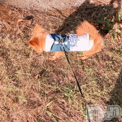 ���ץ���Х��顦�����CLUB BOSS(����� �ܥ�) �뤤(18)��3��25���̥�֥�����🍯��