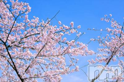 ���ץ���Х��顦�����CLUB BOSS(����� �ܥ�) �뤤(18)��4��3���̥�֥�����🌷��