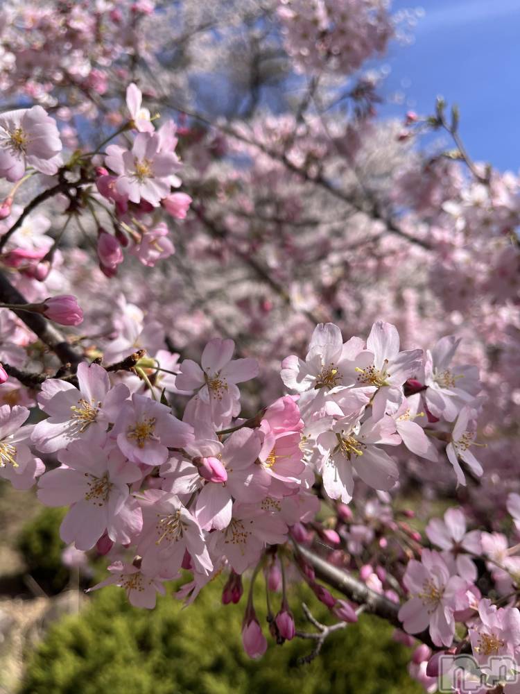 ���ץ���Х��顦�����CLUB BOSS(����� �ܥ�) ���ʤ�4��15���̥�֥����֤��ָ���