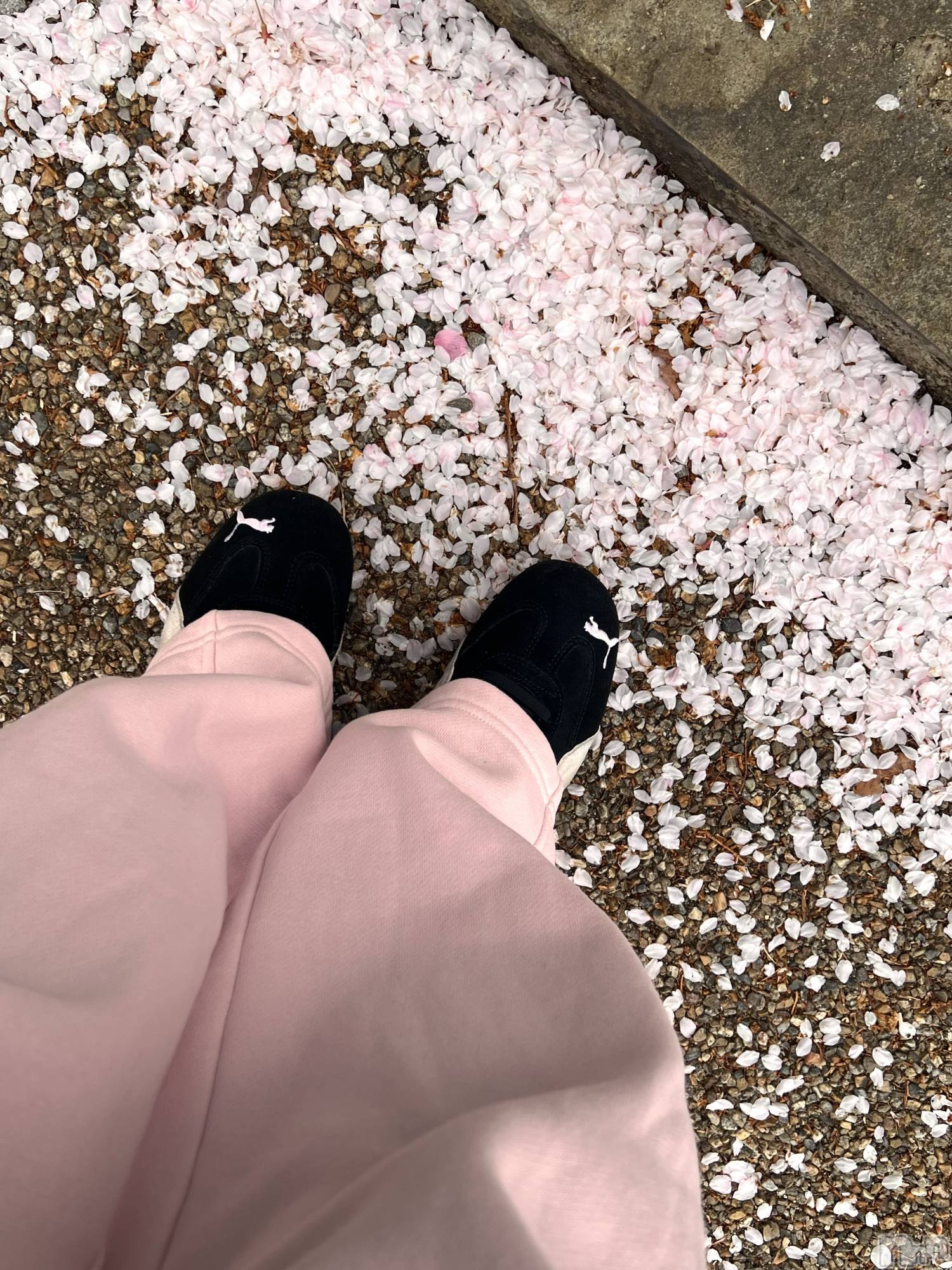 ���ץ���Х��顦�����CLUB BOSS(����� �ܥ�) ��2026ǯ4��10���̥�֥�����20��Ⱦ�ж�❣️��