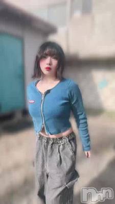 3��31�� 04��39ʬ��ư��