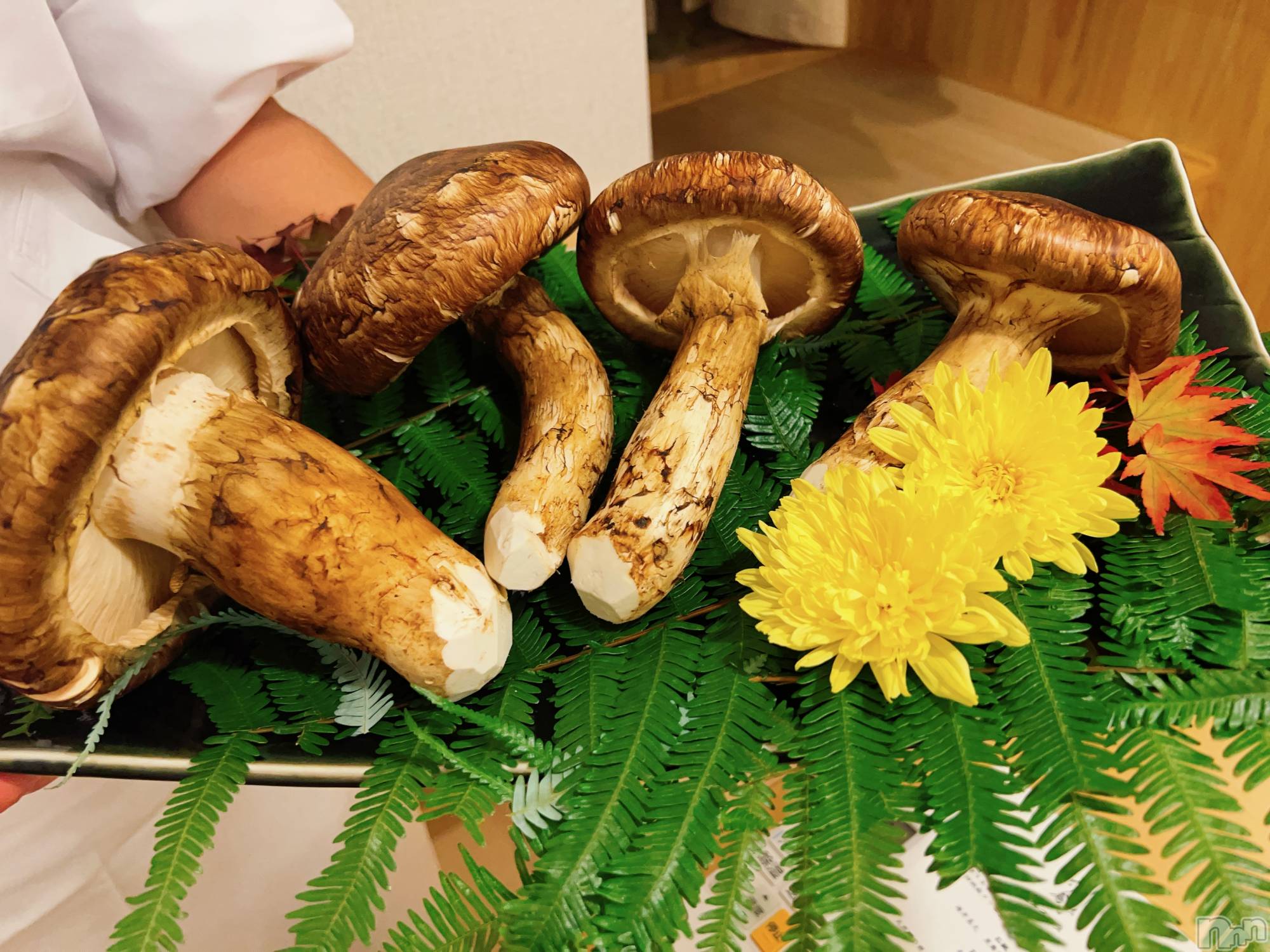 ץХ顦CLUB BOSS( ܥ) 2025ǯ1030̥֥־