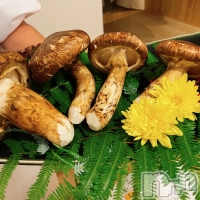 ץХ顦 CLUB BOSS( ܥ) 1030̥֥־