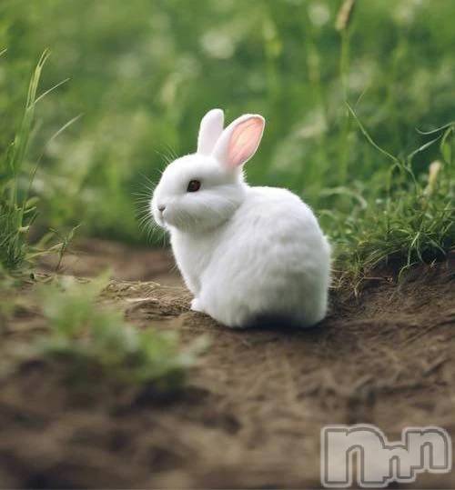 新潟デリヘル新潟デリヘル倶楽部(ニイガタデリヘルクラブ)りん(20)の2025年10月15日写メブログ「【アニマル診断】やってみた✨️」