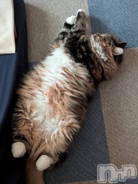 新潟デリヘル新潟デリヘル倶楽部(ニイガタデリヘルクラブ)りん(20)の2025年10月17日写メブログ「華金✨」