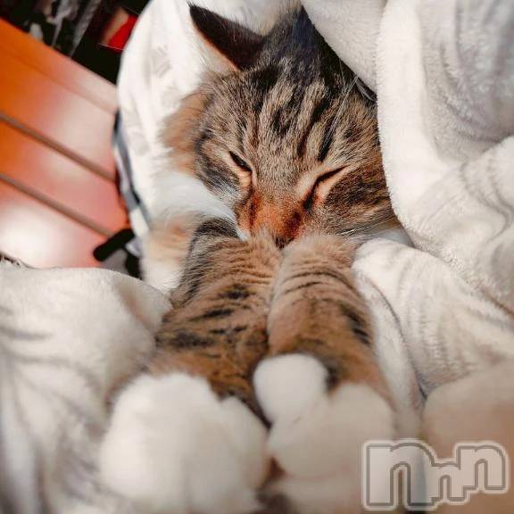 新潟デリヘル新潟デリヘル倶楽部(ニイガタデリヘルクラブ)りん(20)の2025年10月29日写メブログ「さむい🥺」