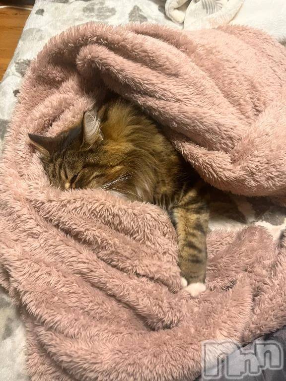 新潟デリヘル新潟デリヘル倶楽部(ニイガタデリヘルクラブ)りん(20)の2025年12月21日写メブログ「☔️」