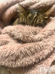 新潟デリヘル新潟デリヘル倶楽部(ニイガタデリヘルクラブ) りん(20)の11月24日写メブログ「おはよぉー🫶」