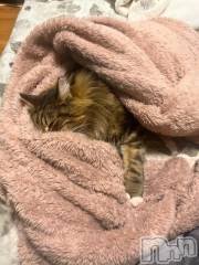 新潟デリヘル新潟デリヘル倶楽部(ニイガタデリヘルクラブ) りん(20)の12月21日写メブログ「☔️」