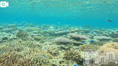 新潟デリヘル 新潟デリヘル倶楽部(ニイガタデリヘルクラブ) りん(20)の10月22日写メブログ「沖縄🌴🌺✈」