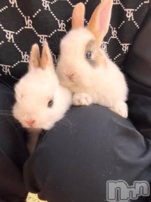 新潟デリヘル 新潟デリヘル倶楽部(ニイガタデリヘルクラブ) りん(20)の10月29日写メブログ「しゅっ！」