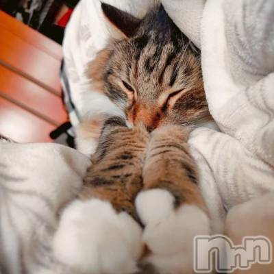 新潟デリヘル 新潟デリヘル倶楽部(ニイガタデリヘルクラブ) りん(20)の10月29日写メブログ「さむい🥺」