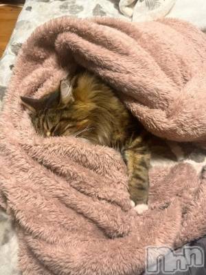 新潟デリヘル 新潟デリヘル倶楽部(ニイガタデリヘルクラブ) りん(20)の12月21日写メブログ「☔️」