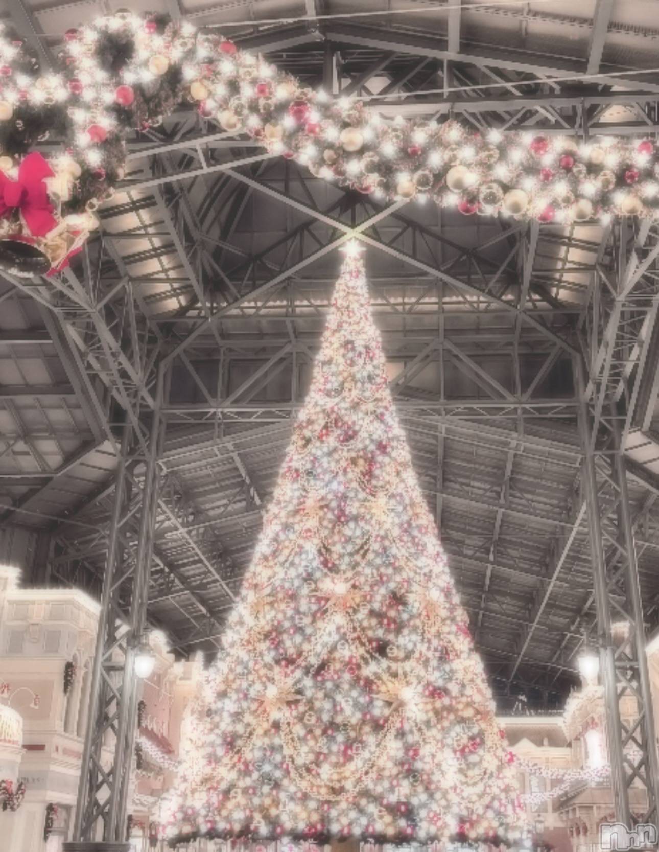 ��ˬ����Х��顦����֥���� �ץ���� ��ˬ(����� �ץ���� ����) ��2025ǯ11��22���̥�֥�����11/22��