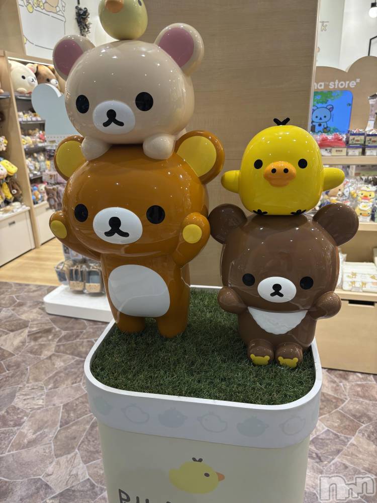 ��ˬ����Х��顦����֥���� �ץ���� ��ˬ(����� �ץ���� ����) ���� �����10��17���̥�֥����֥��å���🐻��