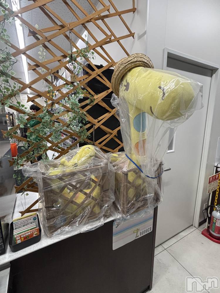 ��ˬ����Х��顦����֥���� �ץ���� ��ˬ(����� �ץ���� ����) ���� �����10��22���̥�֥�����☃��