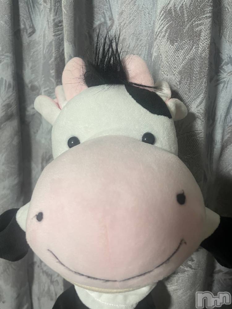 ��ˬ����Х��顦����֥���� �ץ���� ��ˬ(����� �ץ���� ����) ���� �����10��29���̥�֥�����🐈��