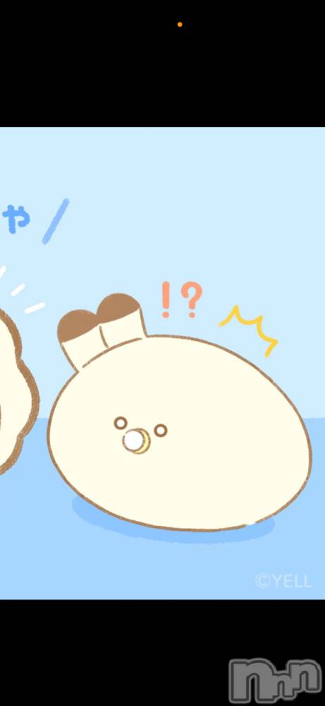 ��ˬ����Х��顦����֥���� �ץ���� ��ˬ(����� �ץ���� ����) ���� �����11��18���̥�֥�����🐈��