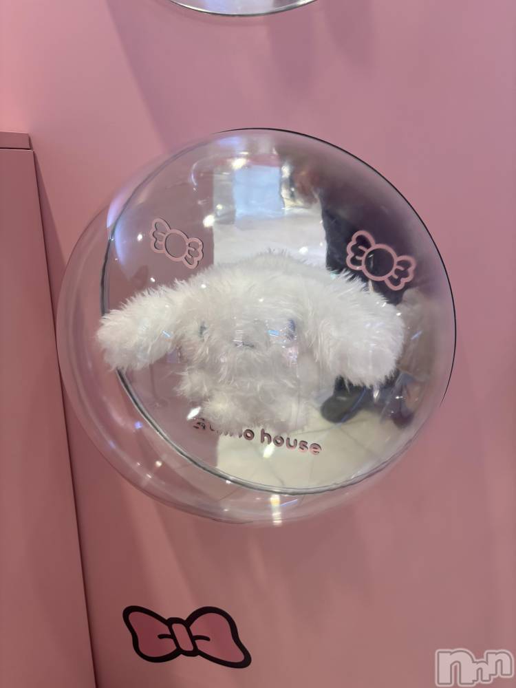 ��ˬ����Х��顦����֥���� �ץ���� ��ˬ(����� �ץ���� ����) ���� �����3��20���̥�֥�����🐕��