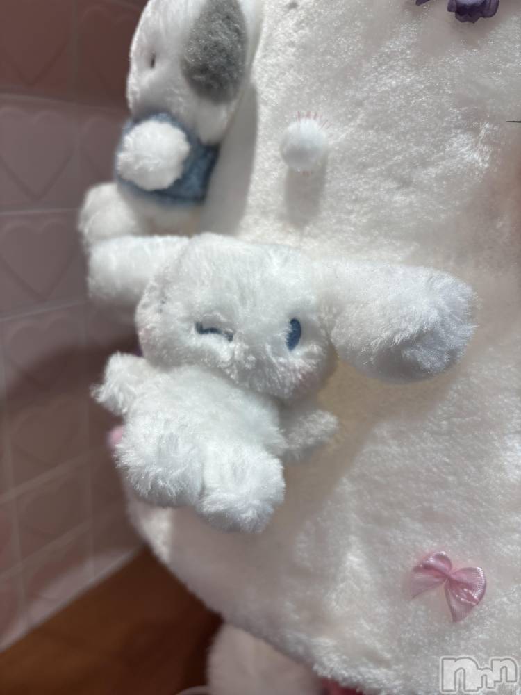 ��ˬ����Х��顦����֥���� �ץ���� ��ˬ(����� �ץ���� ����) ���� �����4��2���̥�֥�����🤍��