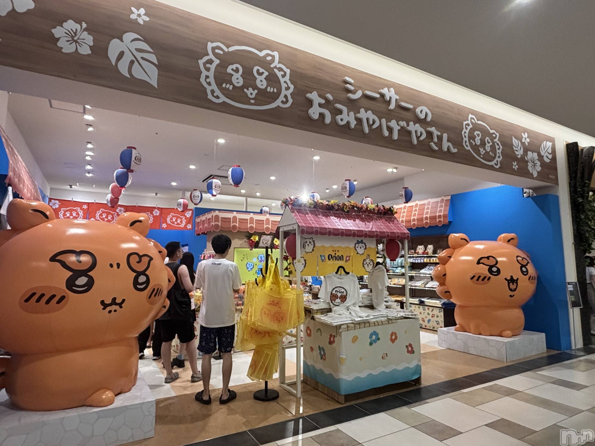 ��ˬ����Х��顦����֥���� �ץ���� ��ˬ(����� �ץ���� ����) ��2025ǯ10��7���̥�֥�����🌟�Ϥ���ޤ���🌟��