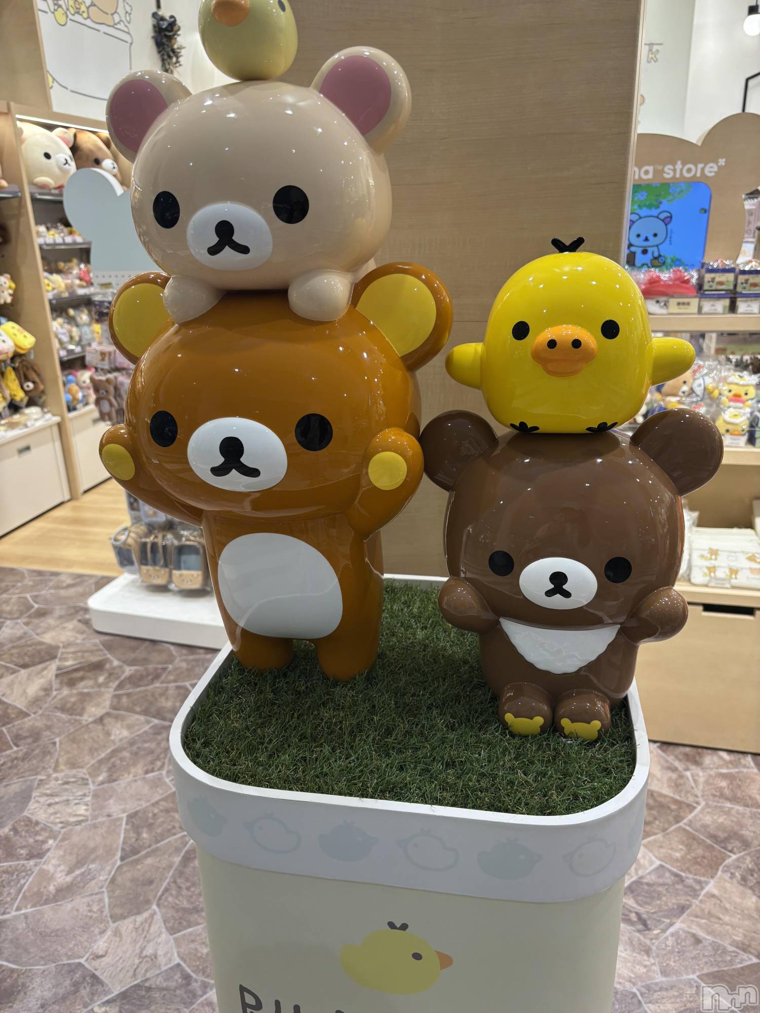 ��ˬ����Х��顦����֥���� �ץ���� ��ˬ(����� �ץ���� ����) ��2025ǯ10��17���̥�֥����֥��å���🐻��