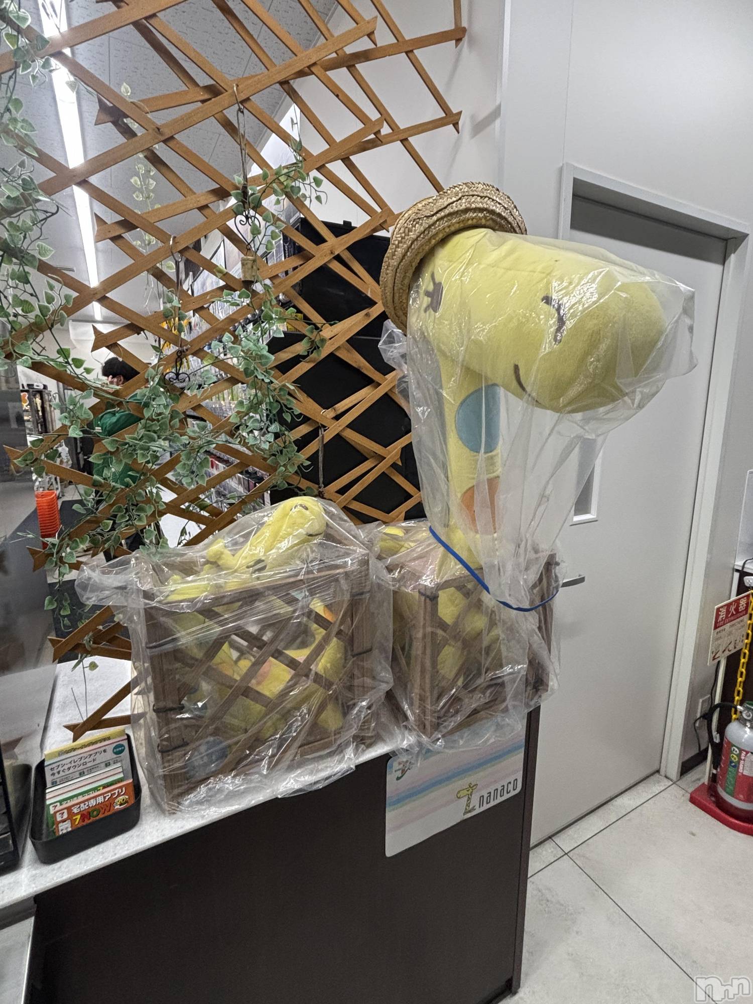 ��ˬ����Х��顦����֥���� �ץ���� ��ˬ(����� �ץ���� ����) ��2025ǯ10��22���̥�֥�����☃��