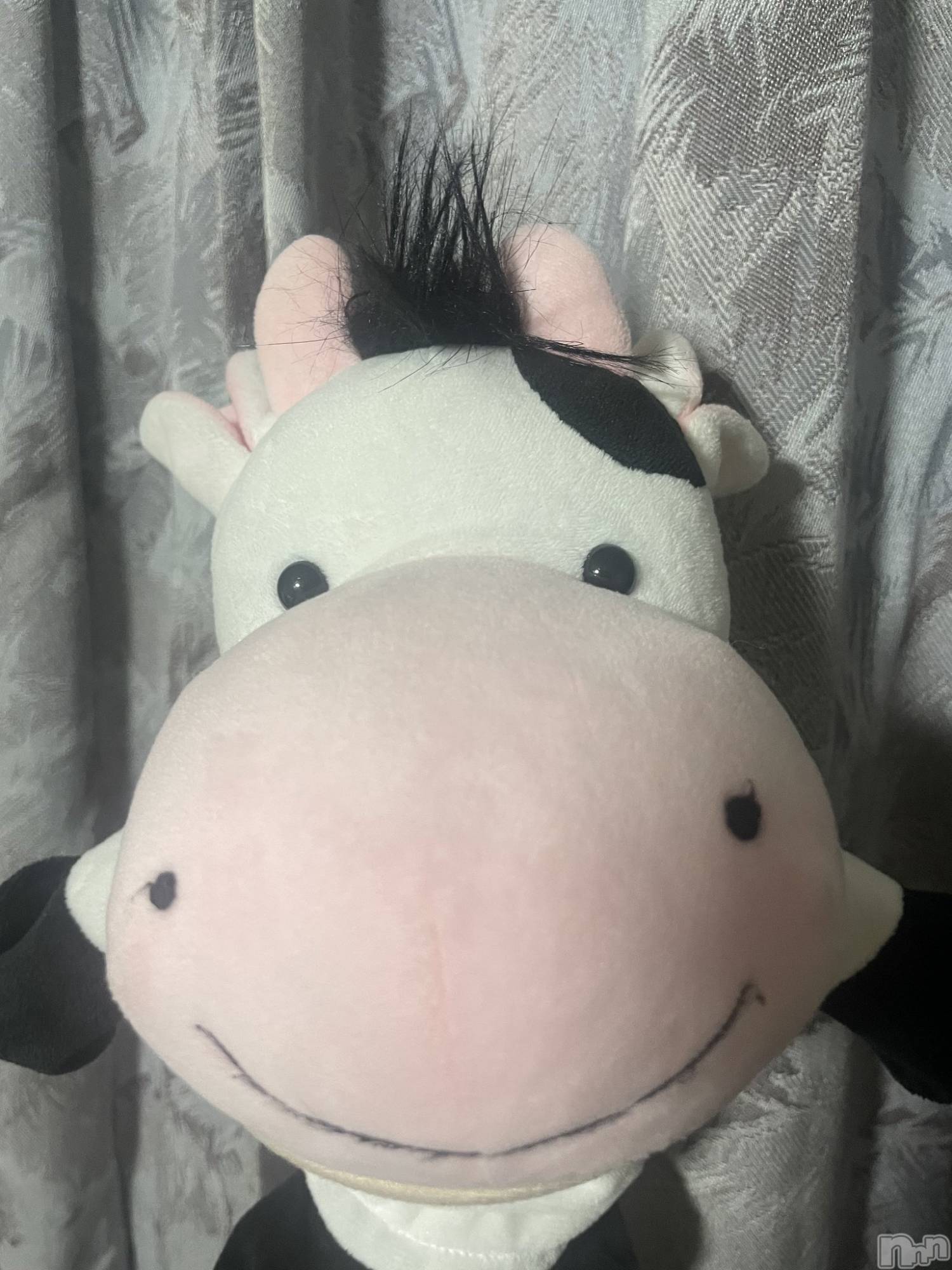 ��ˬ����Х��顦����֥���� �ץ���� ��ˬ(����� �ץ���� ����) ��2025ǯ10��29���̥�֥�����🐈��