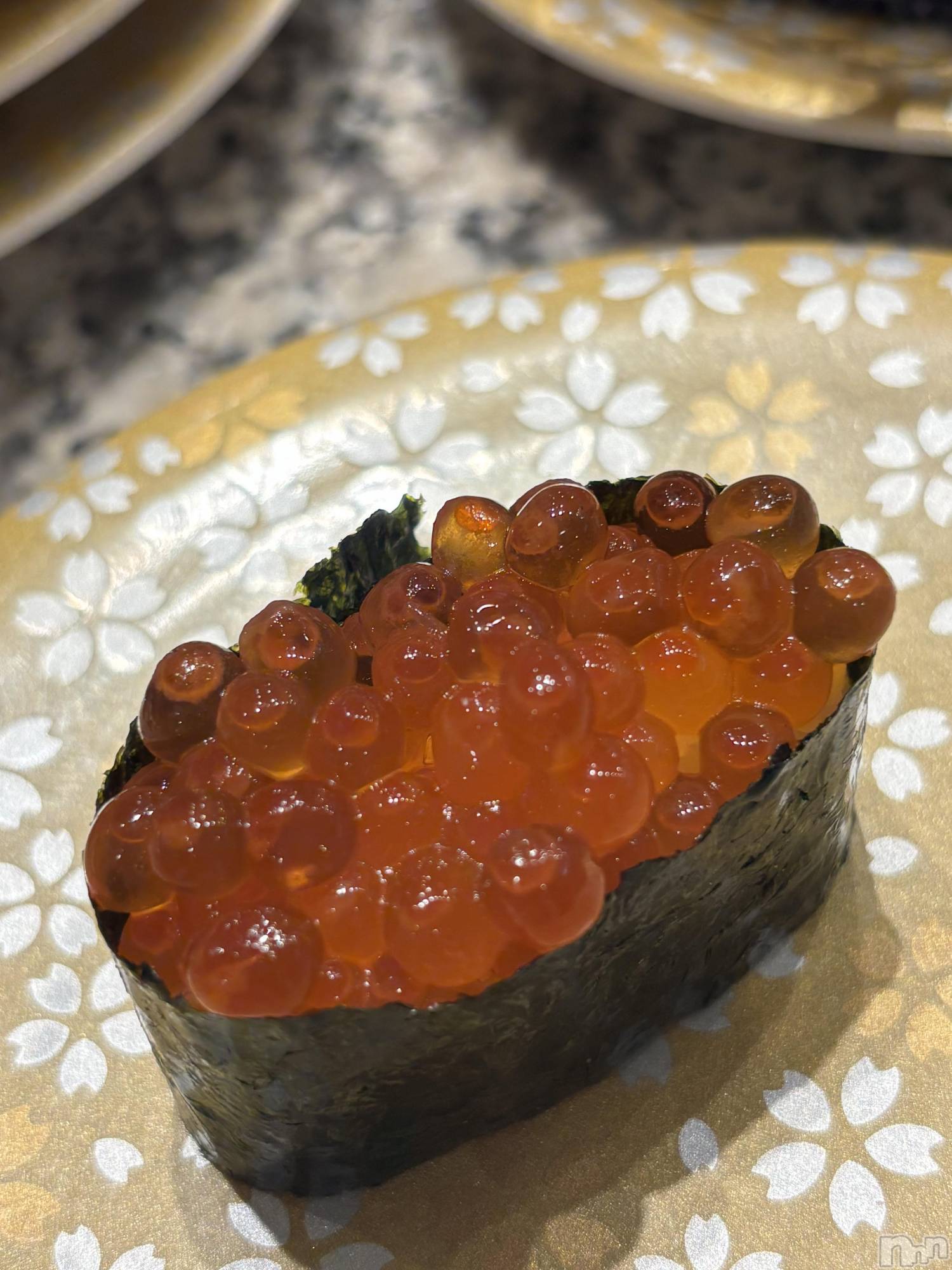 ��ˬ����Х��顦����֥���� �ץ���� ��ˬ(����� �ץ���� ����) ��2026ǯ1��3���̥�֥�����🍚��