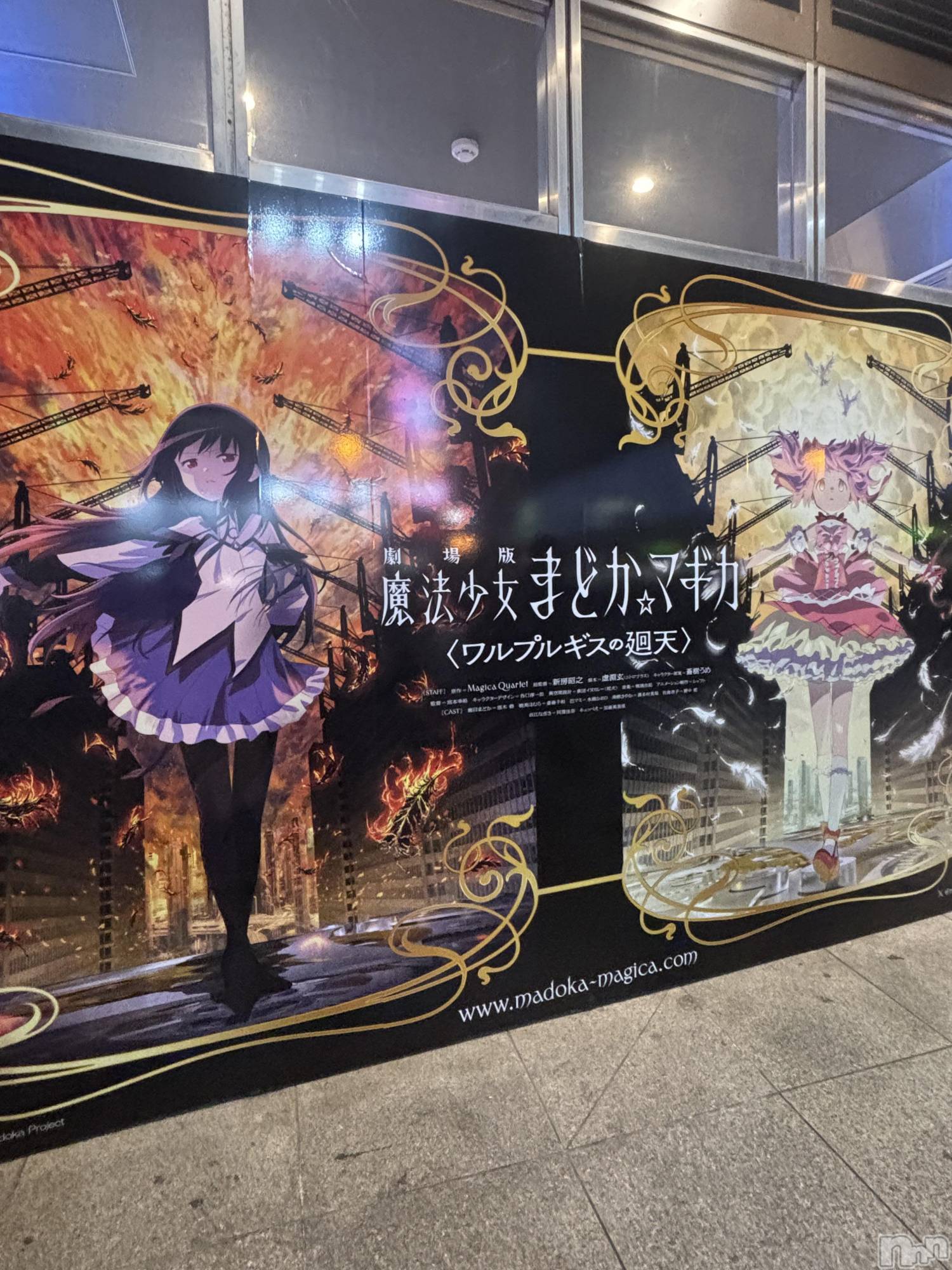 ��ˬ����Х��顦����֥���� �ץ���� ��ˬ(����� �ץ���� ����) ��2026ǯ1��29���̥�֥�����♡��