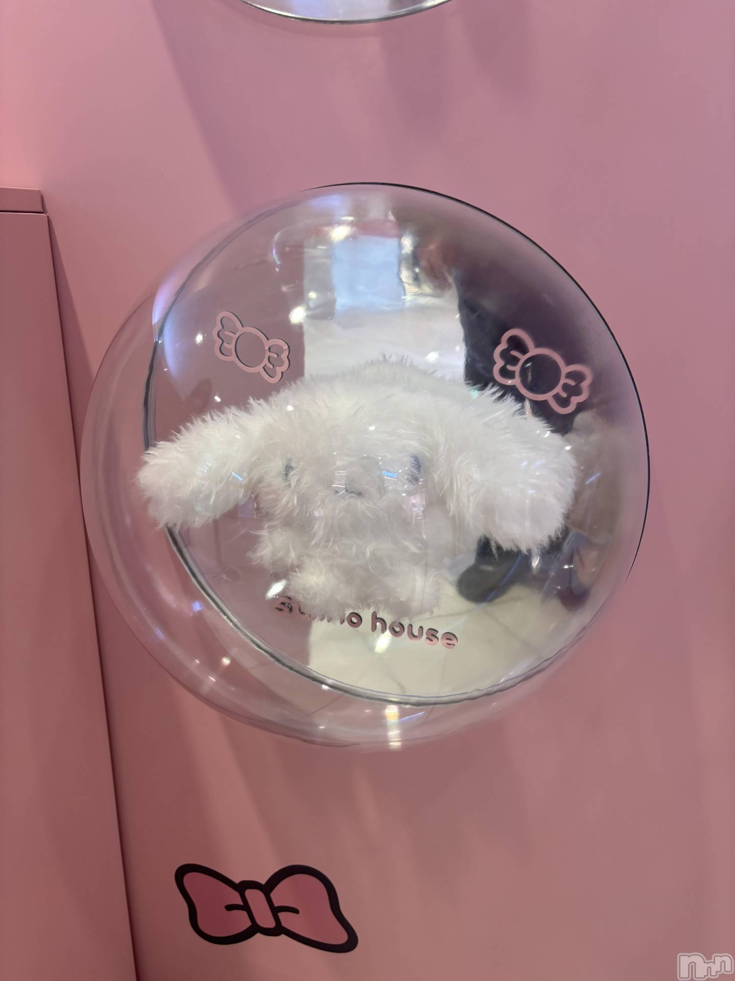 ��ˬ����Х��顦����֥���� �ץ���� ��ˬ(����� �ץ���� ����) ��2026ǯ3��20���̥�֥�����🐕��