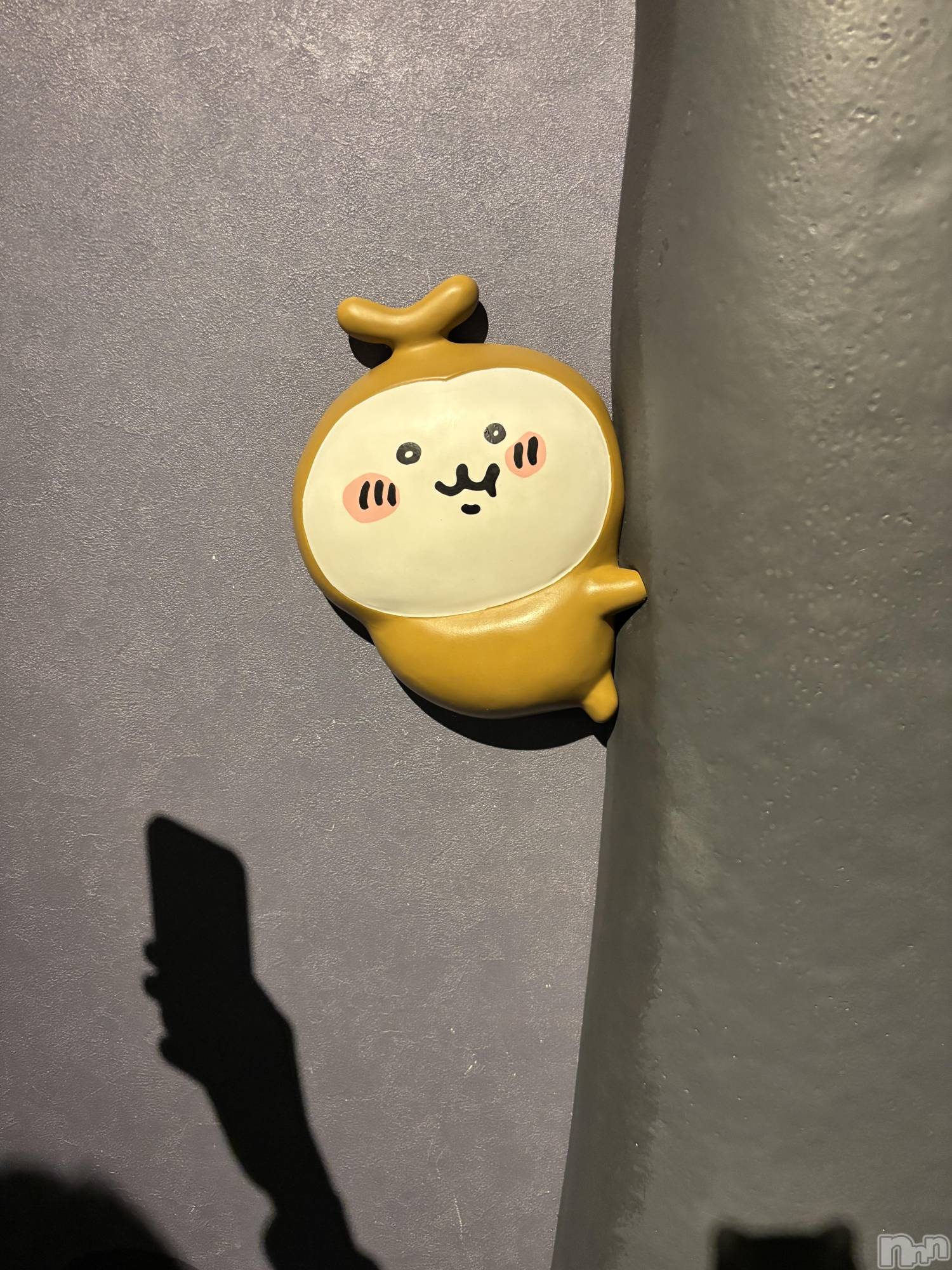 ��ˬ����Х��顦����֥���� �ץ���� ��ˬ(����� �ץ���� ����) ��2026ǯ4��16���̥�֥�����💫��