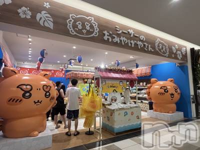 ��ˬ����Х��顦����֥���� �ץ���� ��ˬ(����� �ץ���� ����) ���� ����(22)��10��7���̥�֥�����🌟�Ϥ���ޤ���🌟��