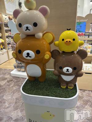 ��ˬ����Х��顦����֥���� �ץ���� ��ˬ(����� �ץ���� ����) ���� ����(22)��10��17���̥�֥����֥��å���🐻��