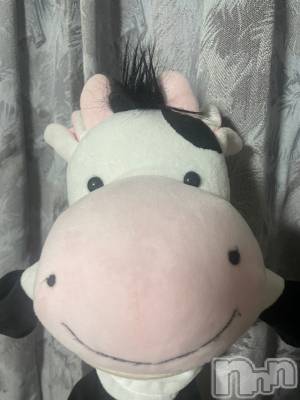 ��ˬ����Х��顦����֥���� �ץ���� ��ˬ(����� �ץ���� ����) ���� ����(22)��10��29���̥�֥�����🐈��