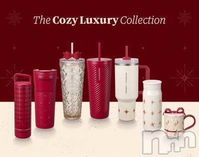 ��ˬ����Х��顦����֥���� �ץ���� ��ˬ(����� �ץ���� ����) ���� ����(22)��11��19���̥�֥�����🎀��