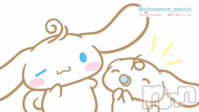 ��ˬ����Х��顦����֥���� �ץ���� ��ˬ(����� �ץ���� ����) ���� ����(22)��12��5���̥�֥�����🤍��