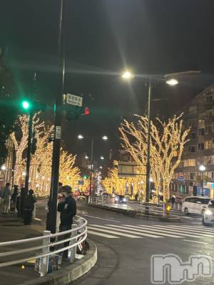 ��ˬ����Х��顦����֥���� �ץ���� ��ˬ(����� �ץ���� ����) ���� ����(22)��12��17���̥�֥�����🤍��