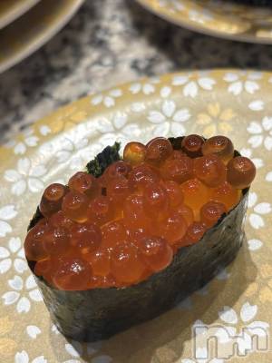 ��ˬ����Х��顦����֥���� �ץ���� ��ˬ(����� �ץ���� ����) ���� ����(22)��1��3���̥�֥�����🍚��