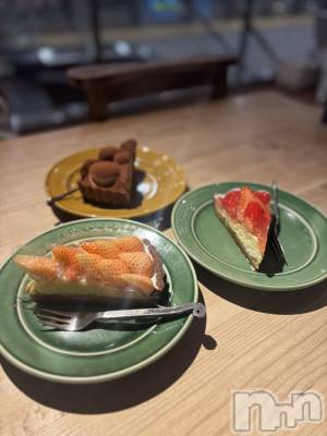 ��ˬ����Х��顦����֥���� �ץ���� ��ˬ(����� �ץ���� ����) ���� ����(22)��1��23���̥�֥�����🍰��