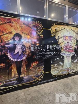 ��ˬ����Х��顦����֥���� �ץ���� ��ˬ(����� �ץ���� ����) ���� ����(22)��1��29���̥�֥�����♡��