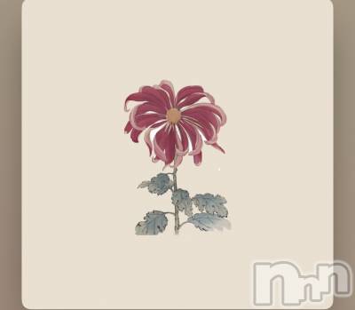 ��ˬ����Х��顦����֥���� �ץ���� ��ˬ(����� �ץ���� ����) ���� ����(22)��3��3���̥�֥�����🌸��