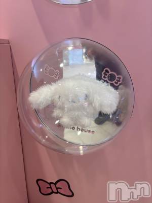 ��ˬ����Х��顦����֥���� �ץ���� ��ˬ(����� �ץ���� ����) ���� ����(22)��3��20���̥�֥�����🐕��