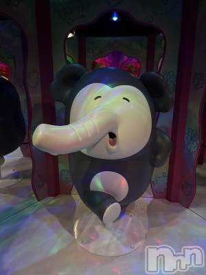 ��ˬ����Х��顦����֥���� �ץ���� ��ˬ(����� �ץ���� ����) ���� ����(22)��4��22���̥�֥�����🐘��