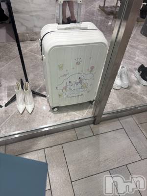 ��ˬ����Х��顦����֥���� �ץ���� ��ˬ(����� �ץ���� ����) ���� ����(22)��6��12���̥�֥�����🙀��