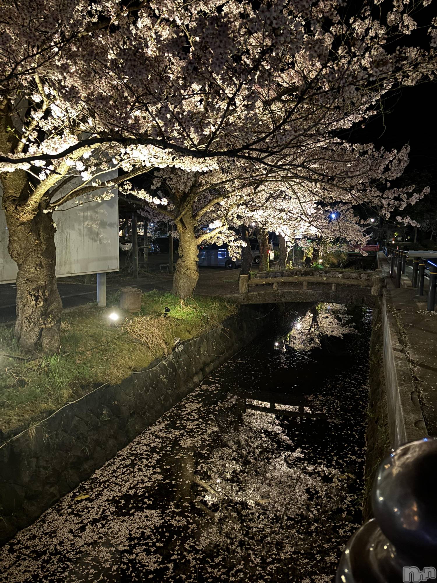 �����������Х��顦�����GRAND ROUGE(�����롼����) ��2026ǯ4��16���̥�֥������ܵ��⡼��🔥��