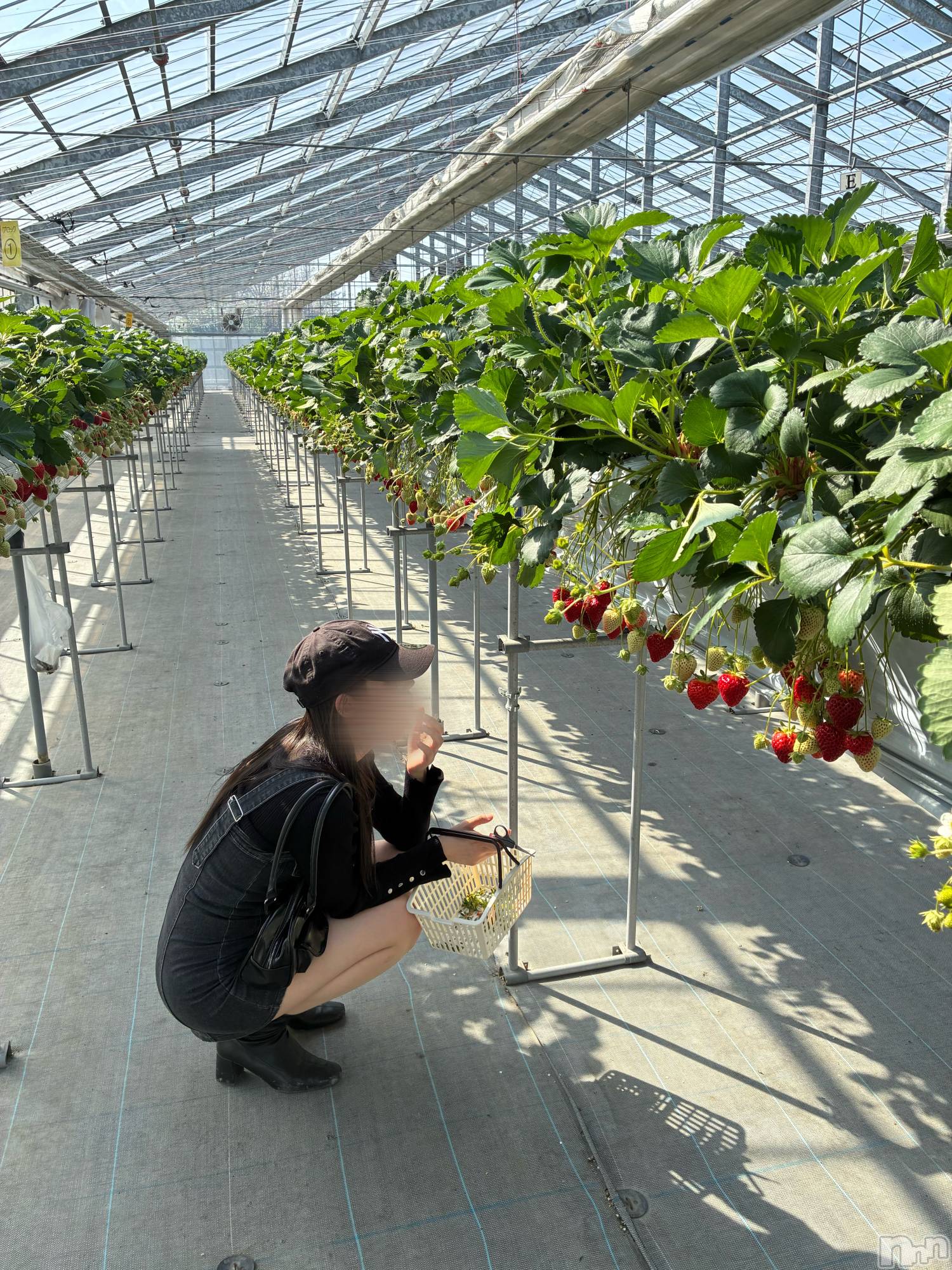 �����������Х��顦�����GRAND ROUGE(�����롼����) ��2026ǯ4��22���̥�֥����ֽ��ޤ���𛰙᭜𖫴𖫰𖫱𖫳𖫲𖫲𖫳𖫴𖫰𖫱꛰ ᭜𖫴𖫰𖫱𖫳𖫲𖫲𖫳𖫴𖫰𖫱꛰ಣ��