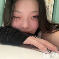 メイ さんのプロフィール画像